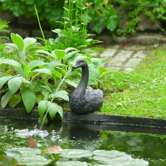 Tuinfontein drijvend zwaan