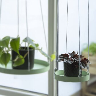 Plantenblad hangend rond S groen