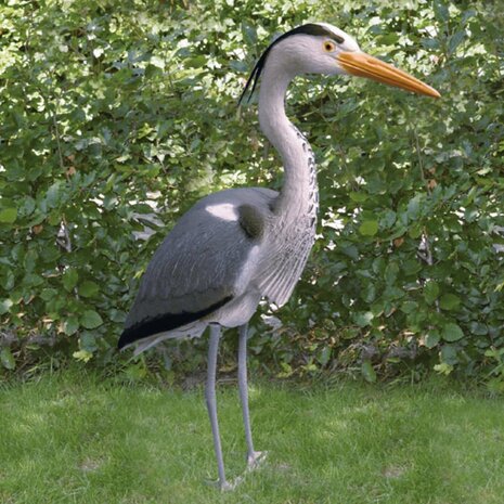 Reiger 1065739