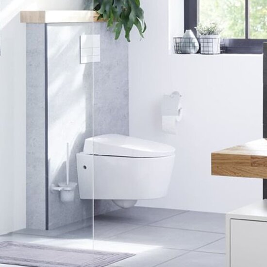 Toiletrolhouder met deksel Apollo aluminium