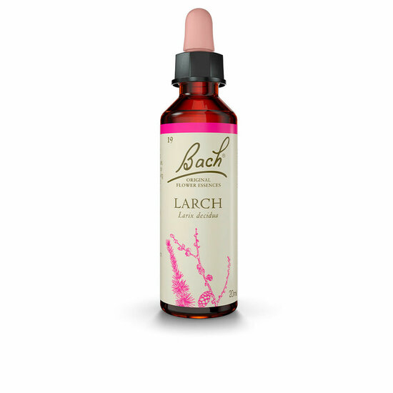 Bach Flower Essence Bach Larch