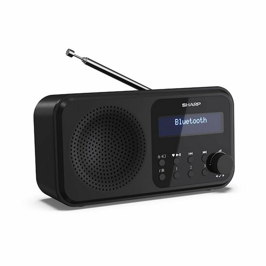 Sharp Dr-P420 Radio Zwart