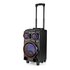 Nedis SPPT800BK Bluetooth® Party Speaker Maximale Batterijduur: 6.5 Uur 120 W Handgreep Feestverlichting Equalizer Zwart_